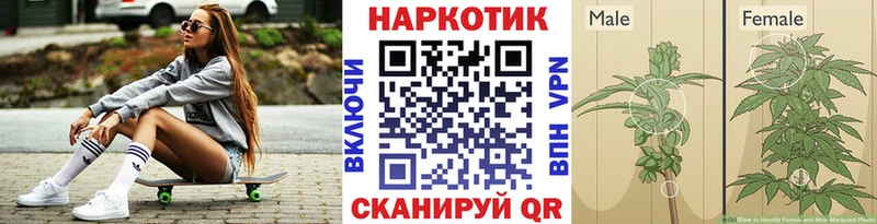 ГАШ Руза