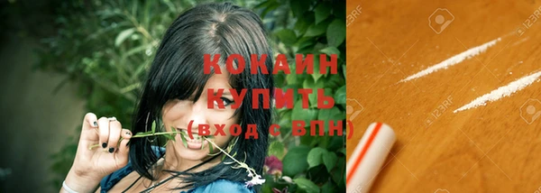сатива Заволжье