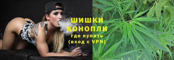 сатива Заволжье