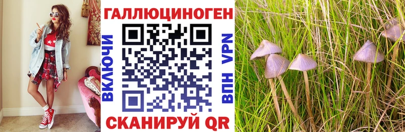 Купить закладки  Руза  Псилоцибиновые грибы Psilocybe 